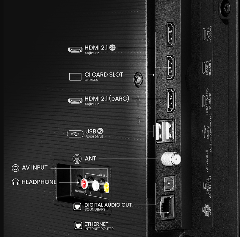 Vista 5